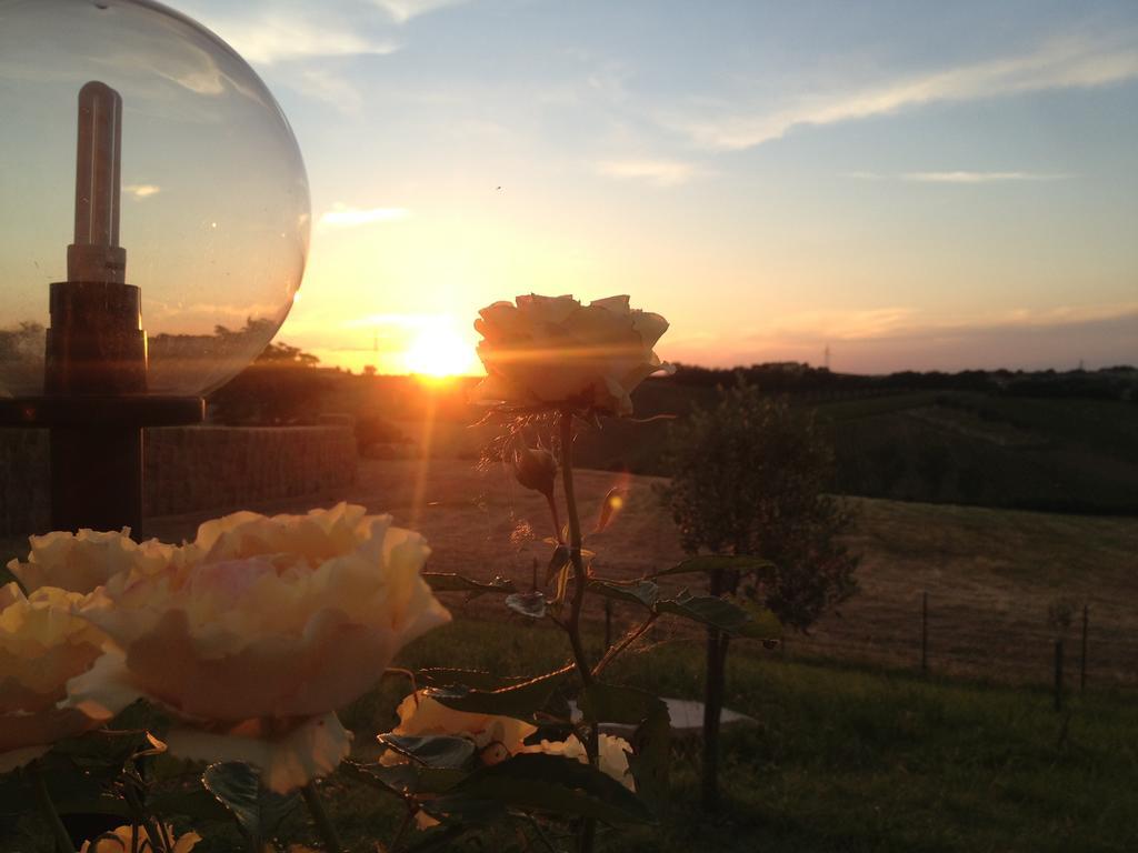 Bio Armonia * Montemarciano