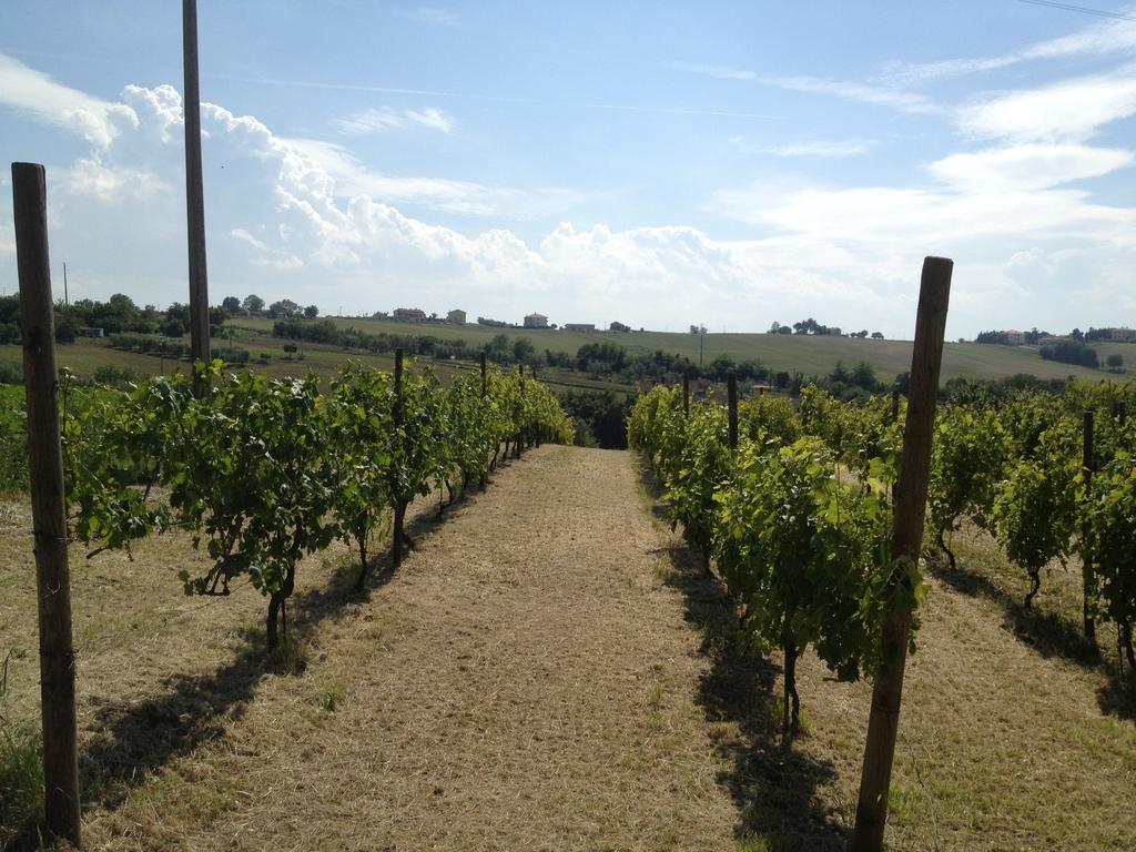 Bio Armonia Agroturismo *