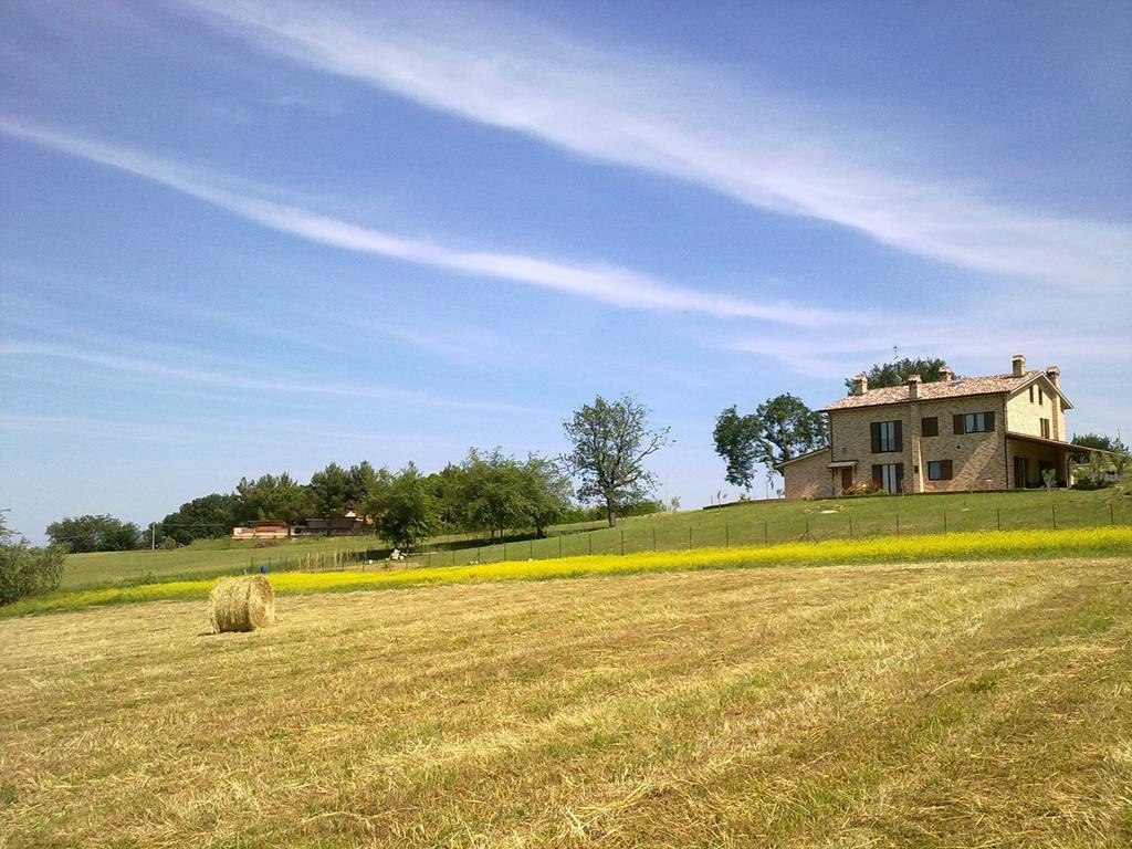 Bio Armonia * Montemarciano