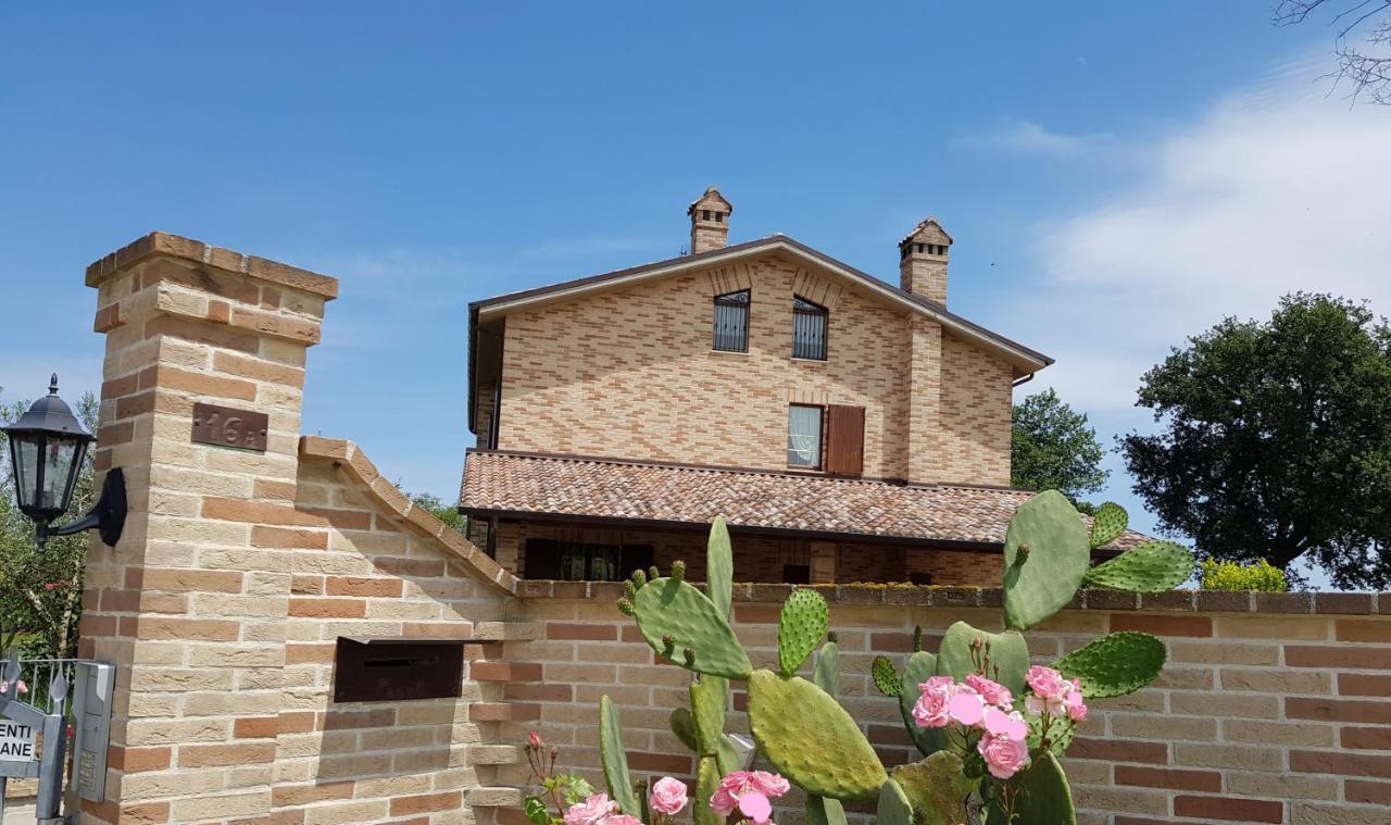 Bio Armonia Montemarciano